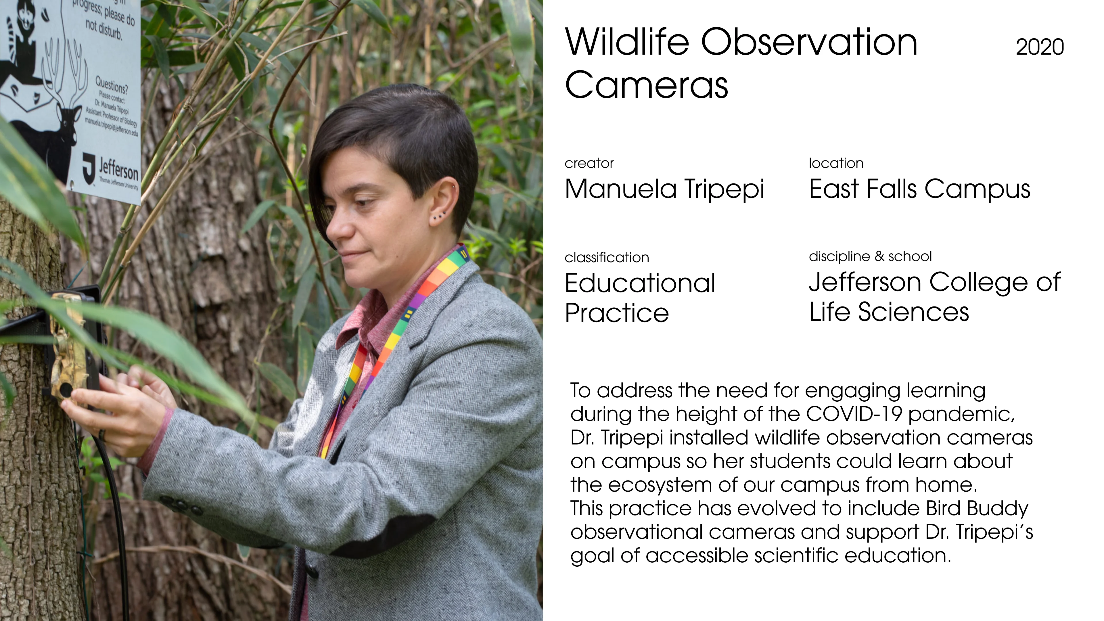 Research board showing early project themes