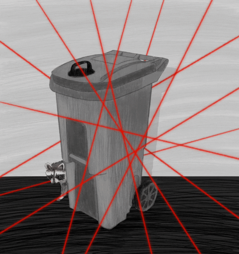 Racoon Dream Map and Journal bookmark